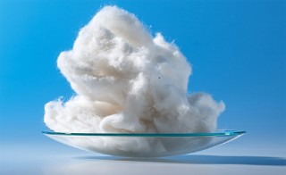 BioFlammschutz Cellulose